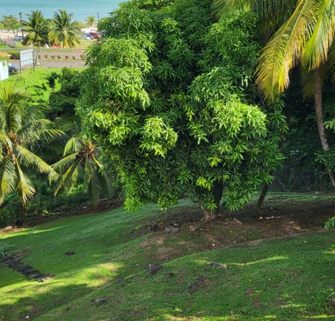 拉特里尼泰Le Caillou别墅